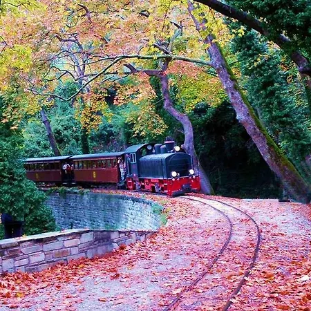 101 τriantafyllidi *