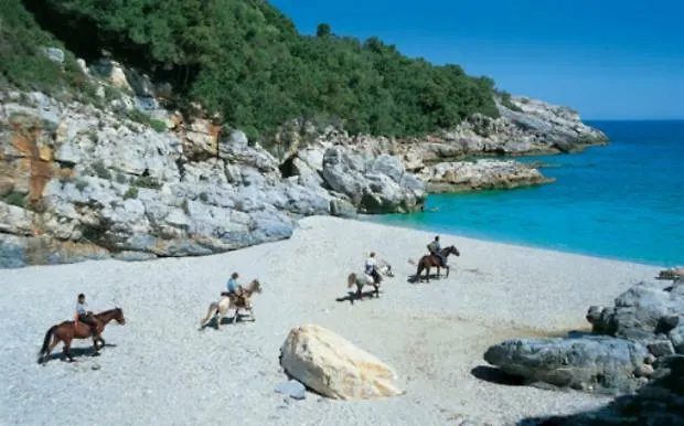 101 τriantafyllidi Volos