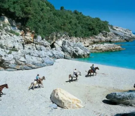 101 τriantafyllidi Volos