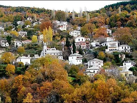 101 τriantafyllidi