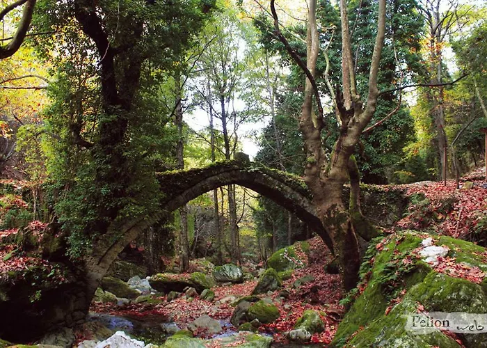 101 τriantafyllidi Appartement Vólos